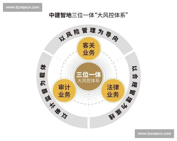 构建现代组织危机管理体系与风险应对能力提升路径研究与实践创新 构建现代组织危机管理体系与风险应对能力提升路径研究与实践创新